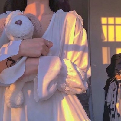 宫本武藏：双剑飞驰之梦